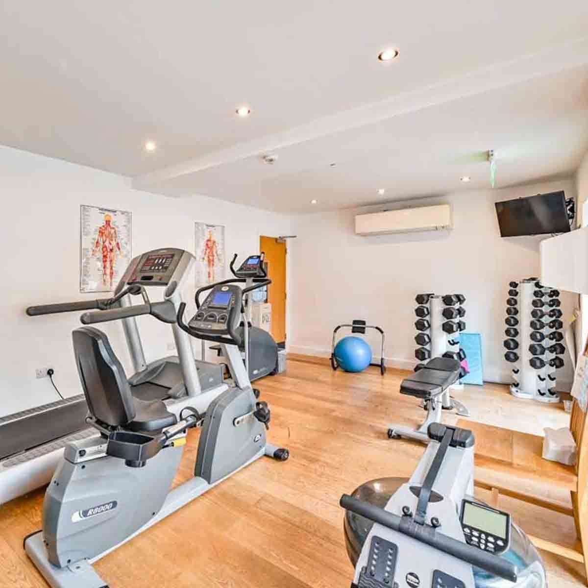 Well-equipped gym room with cardio machines, weights, and exercise ball