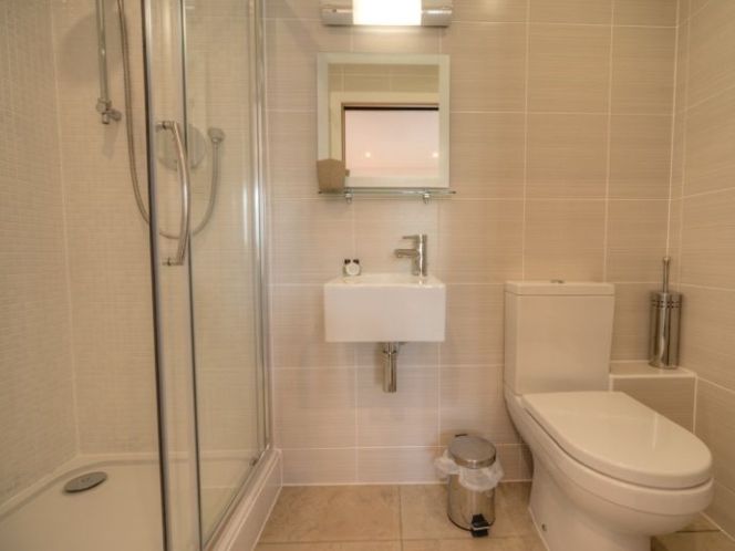 Modern bathroom with a glass shower, small sink, toilet, and wall mirror