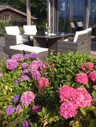 Outdoor patio seating with white cushions, glass table, and blooming hydrangeas in the foreground.