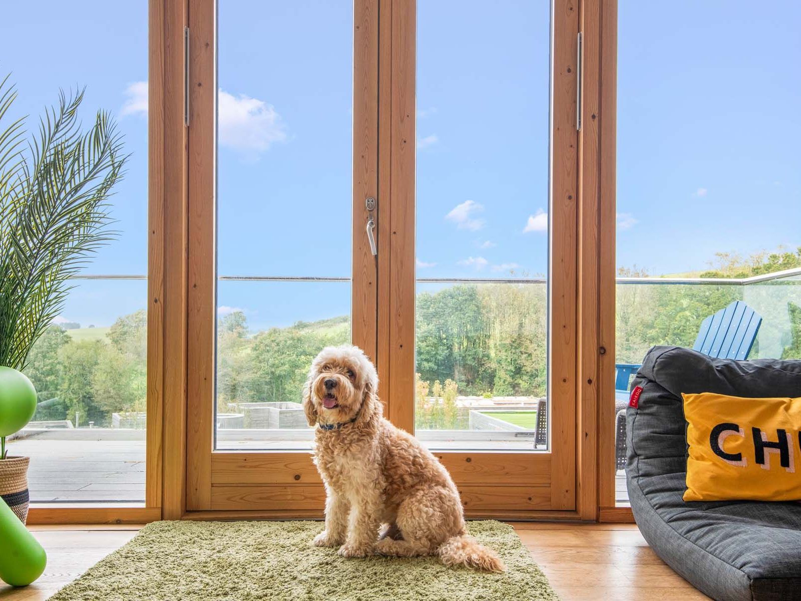 A fluffy dog sitting on a rug in front of large glass doors with a view of trees and sky outside.