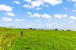 A wide expanse of lush green grass under a blue sky with scattered clouds, overlooking the sea.