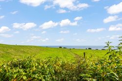 Grassy field with bushes in the foreground overlooking the sea under a blue sky with clouds