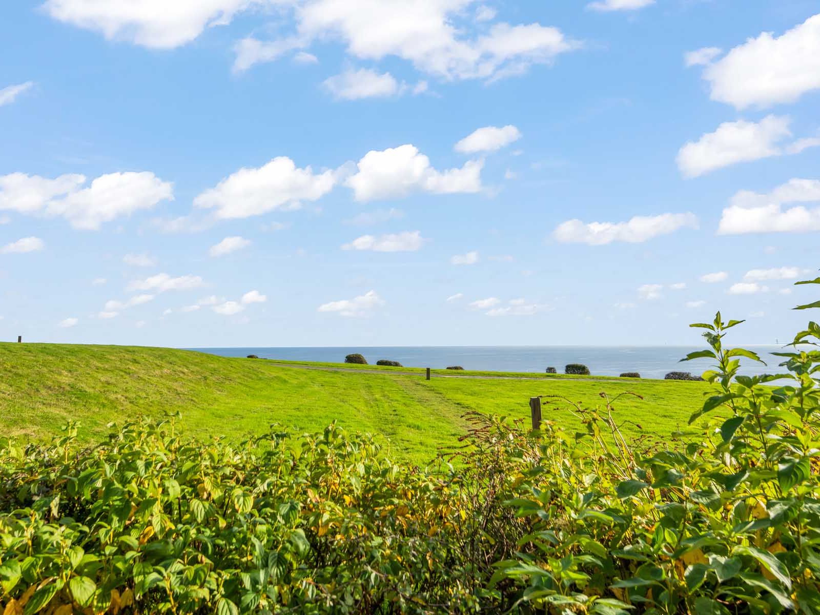 Grassy field with bushes in the foreground overlooking the sea under a blue sky with clouds