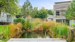 Modern house with a garden pond and lush greenery