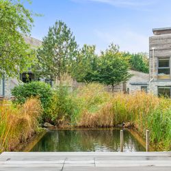 Modern house with a garden pond and lush greenery