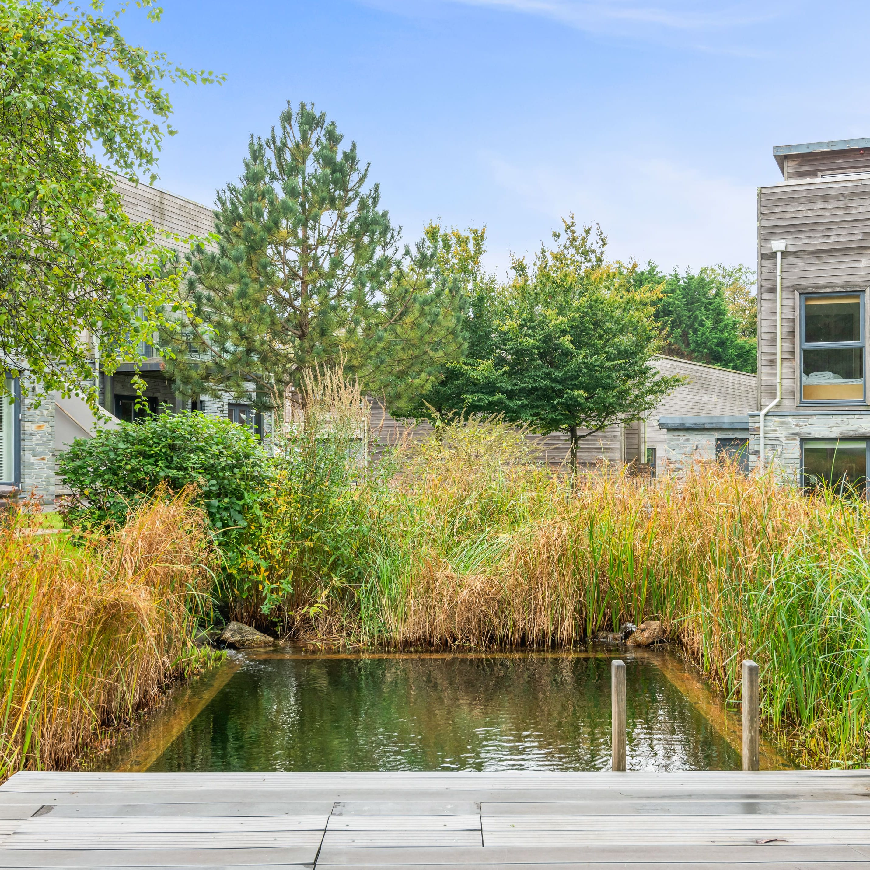 Modern house with a garden pond and lush greenery