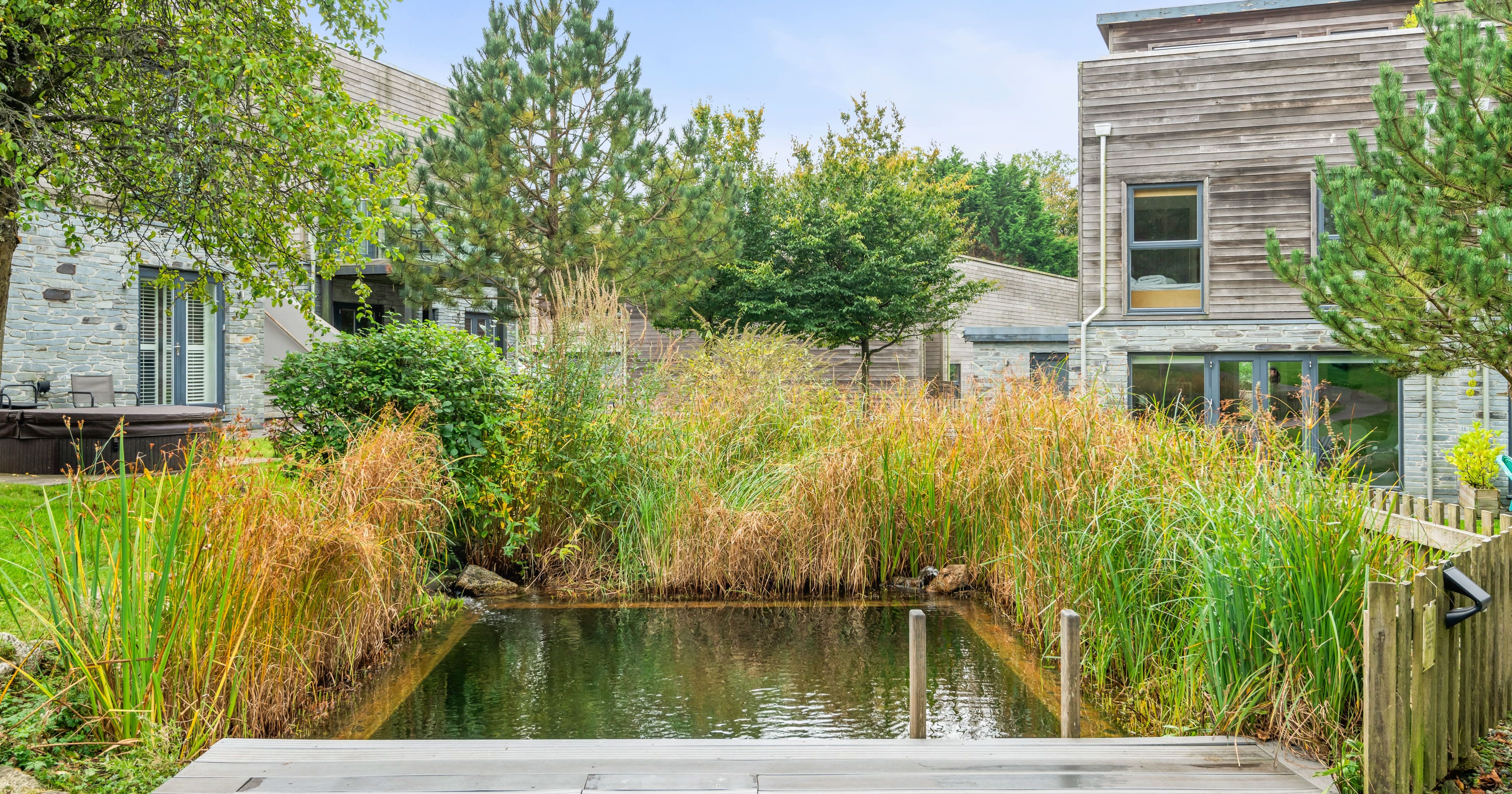 Modern house with a garden pond and lush greenery