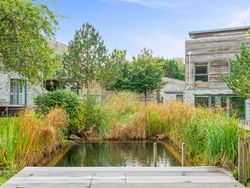 Modern house with a garden pond and lush greenery