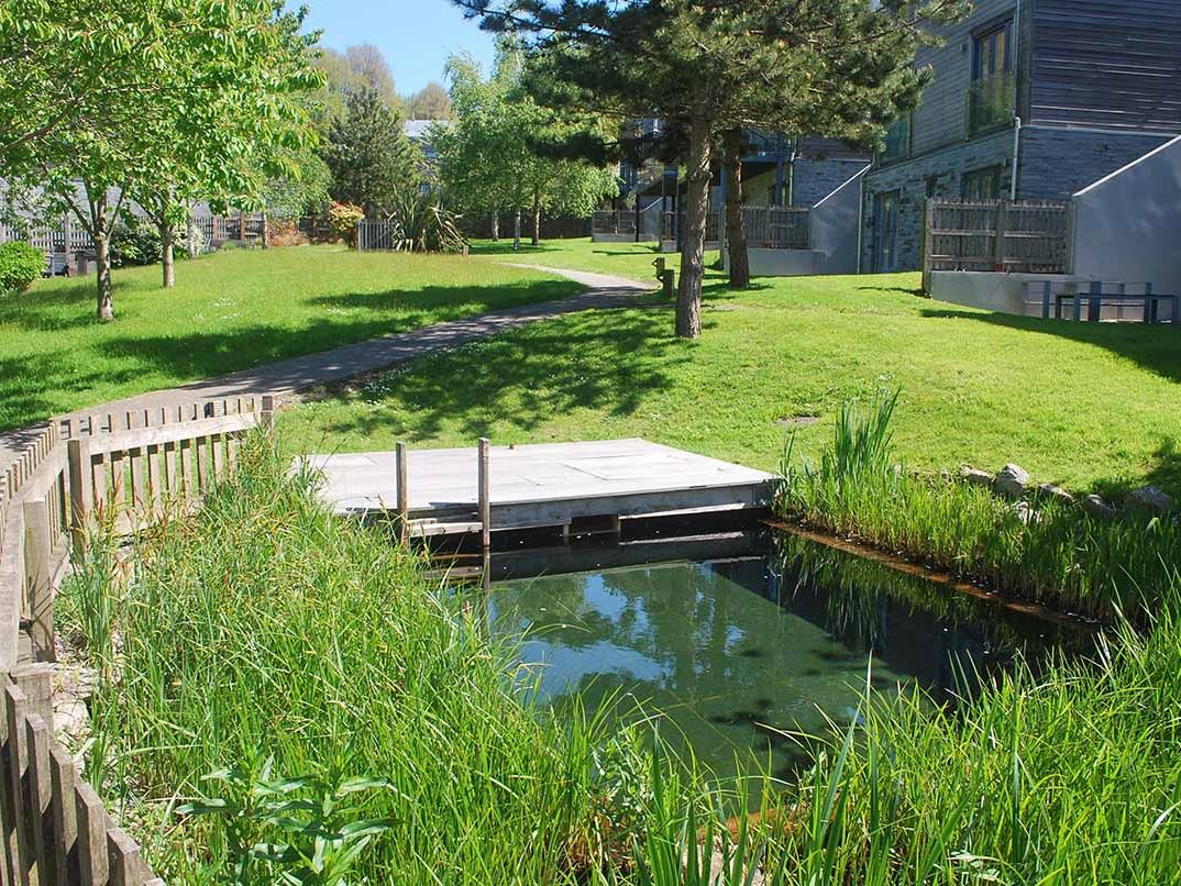 Small pond with wooden deck surrounded by green grass and residential buildings