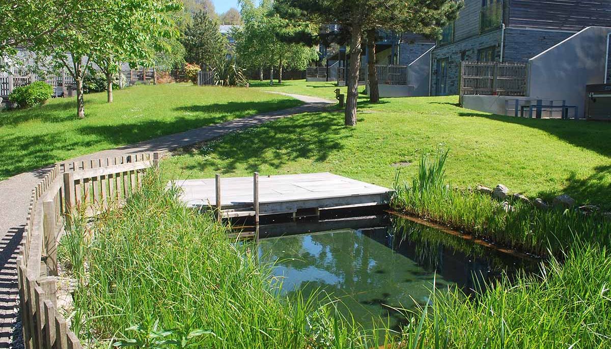 A small pond surrounded by green grass, trees, and modern buildings.