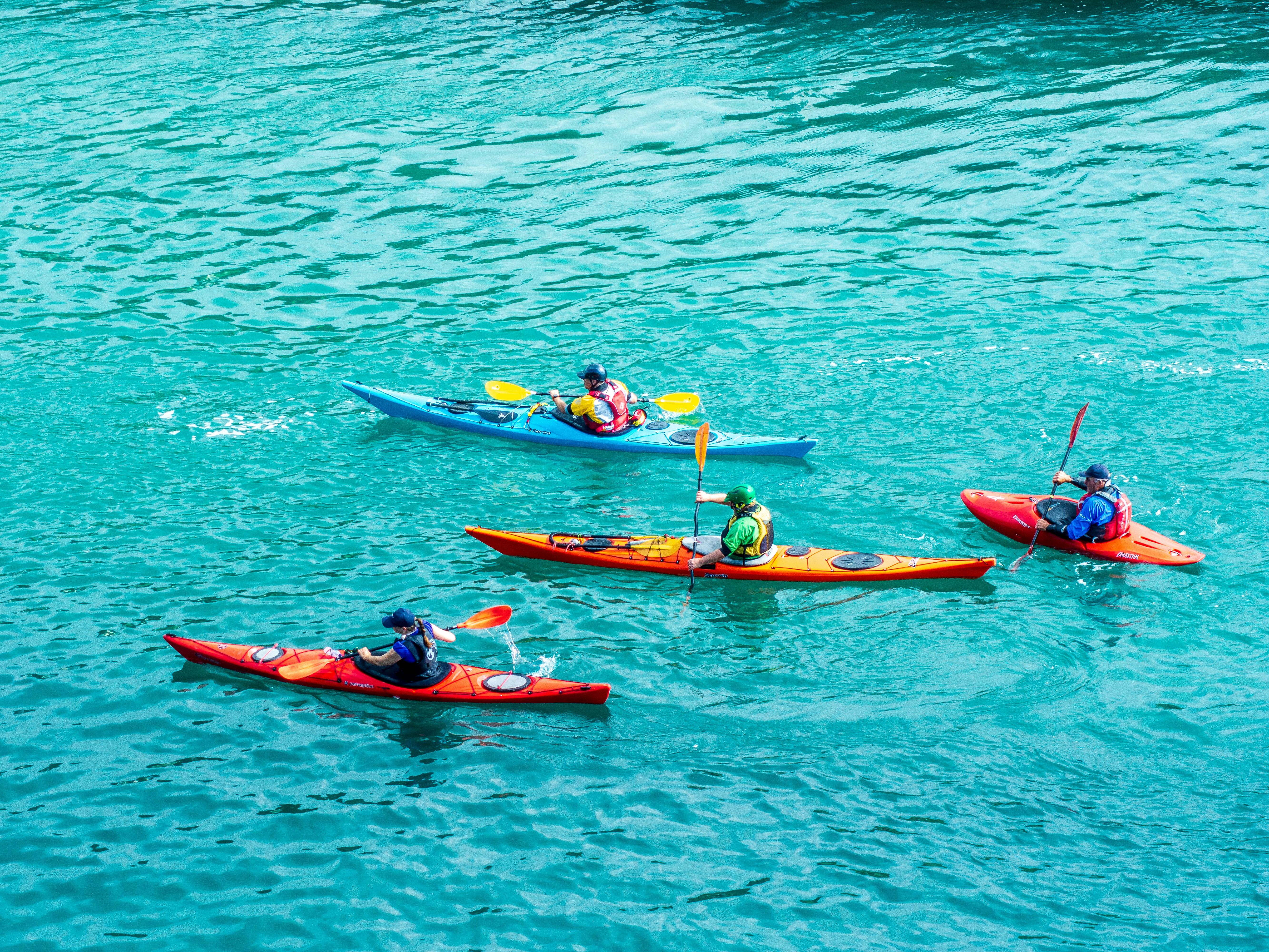 Four people kayaking on blue water