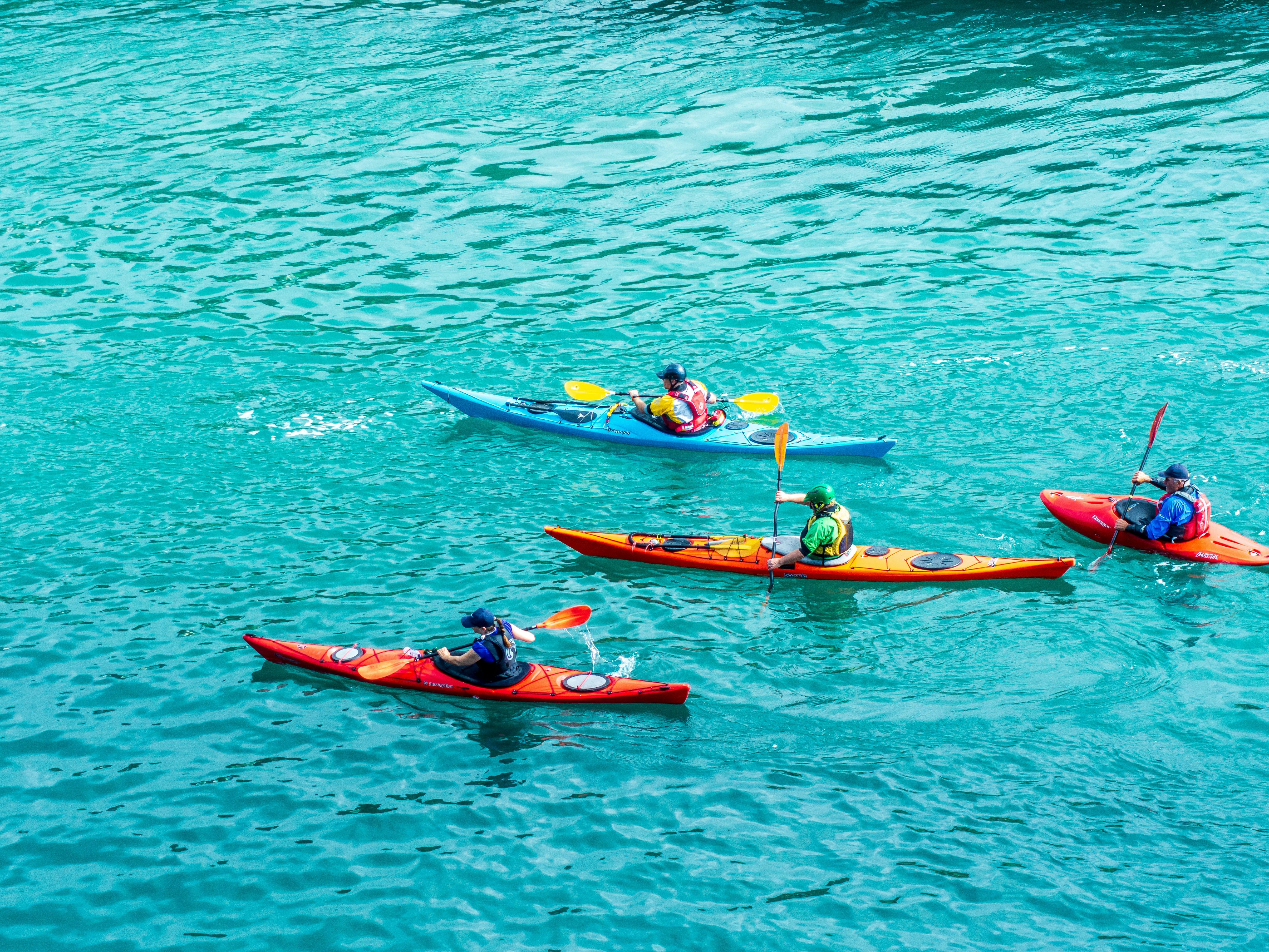 Four people kayaking on blue water