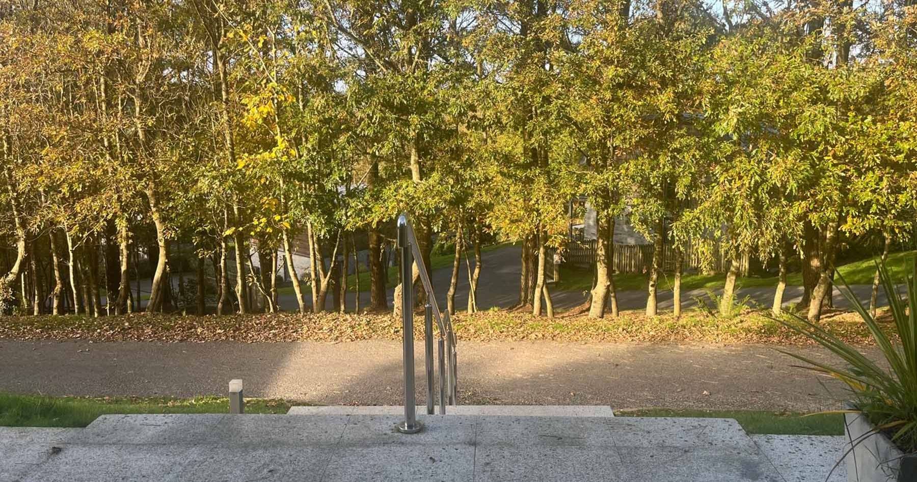 View of a pathway and trees from the top of some outdoor steps