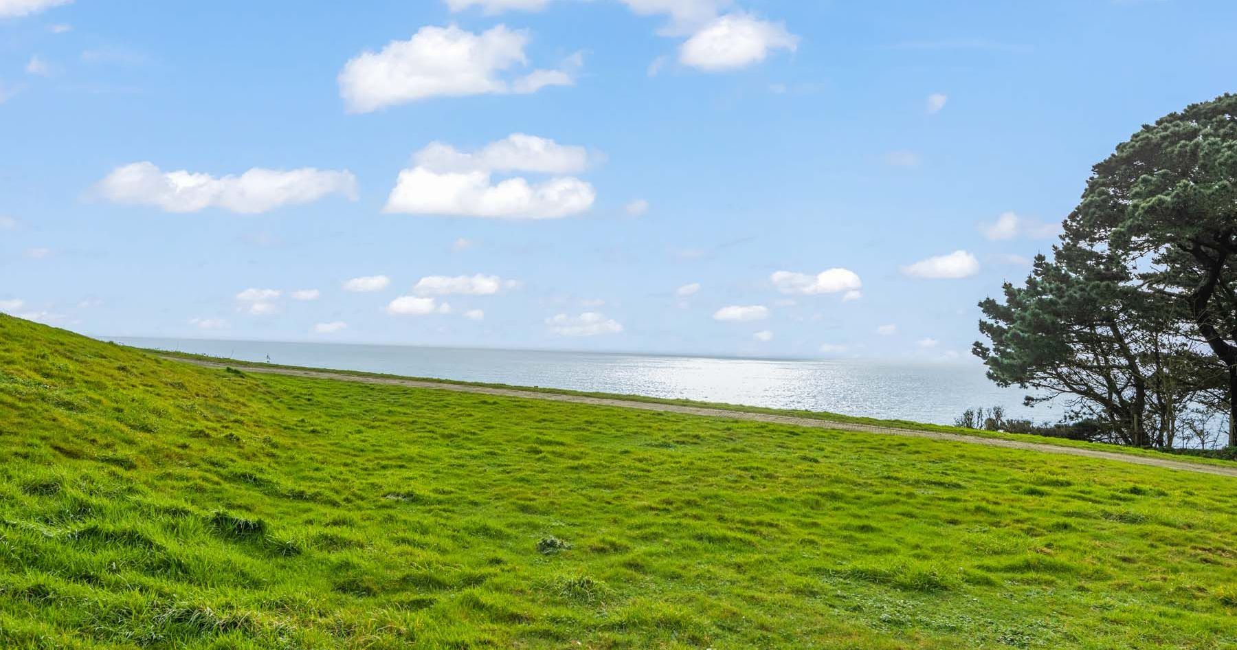 Green grassy field beside a calm body of water with a blue sky and scattered clouds