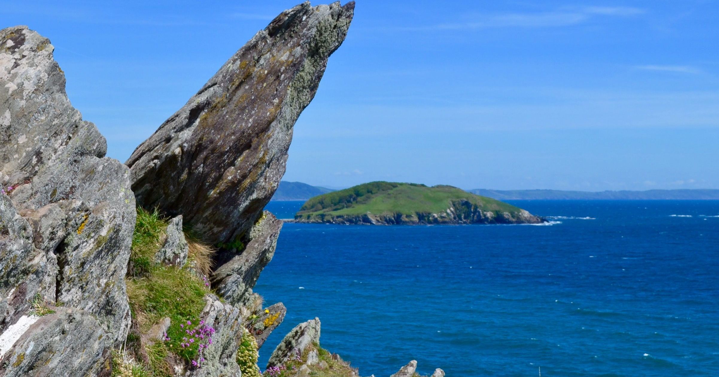 Jagged coastal rocks with wildflowers in the foreground and a green island in the blue sea under a clear sky.