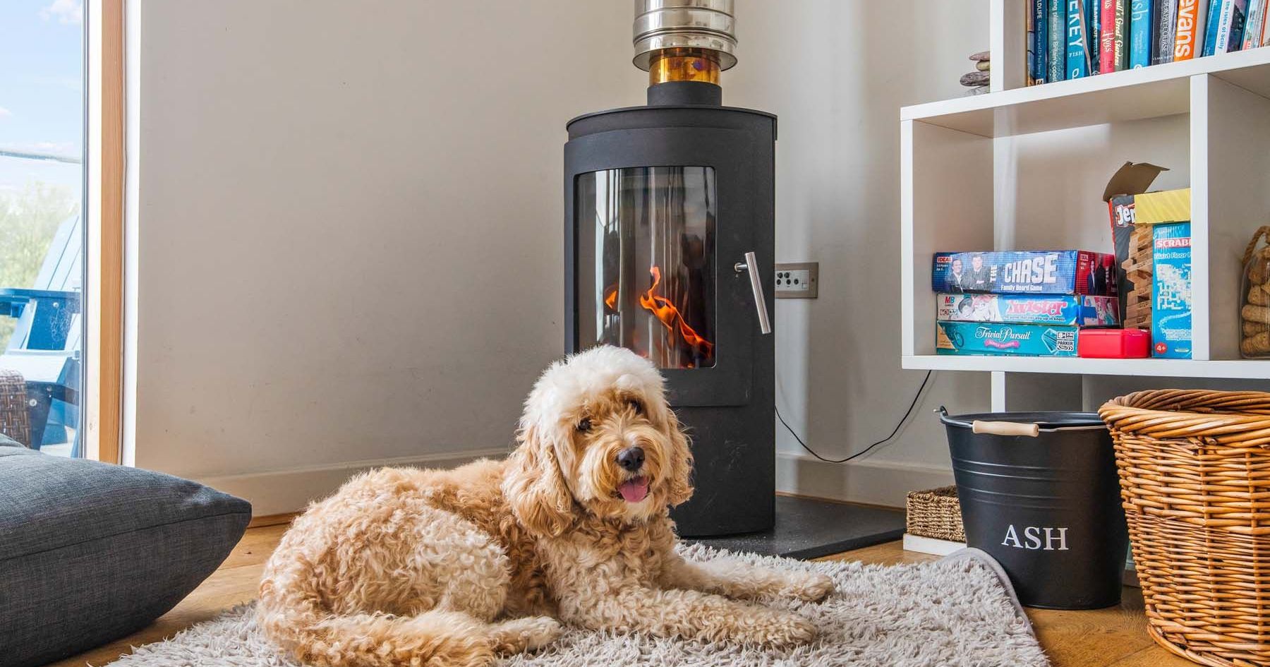 Fluffy dog lying on a rug in front of a wood-burning stove in a cozy living room
