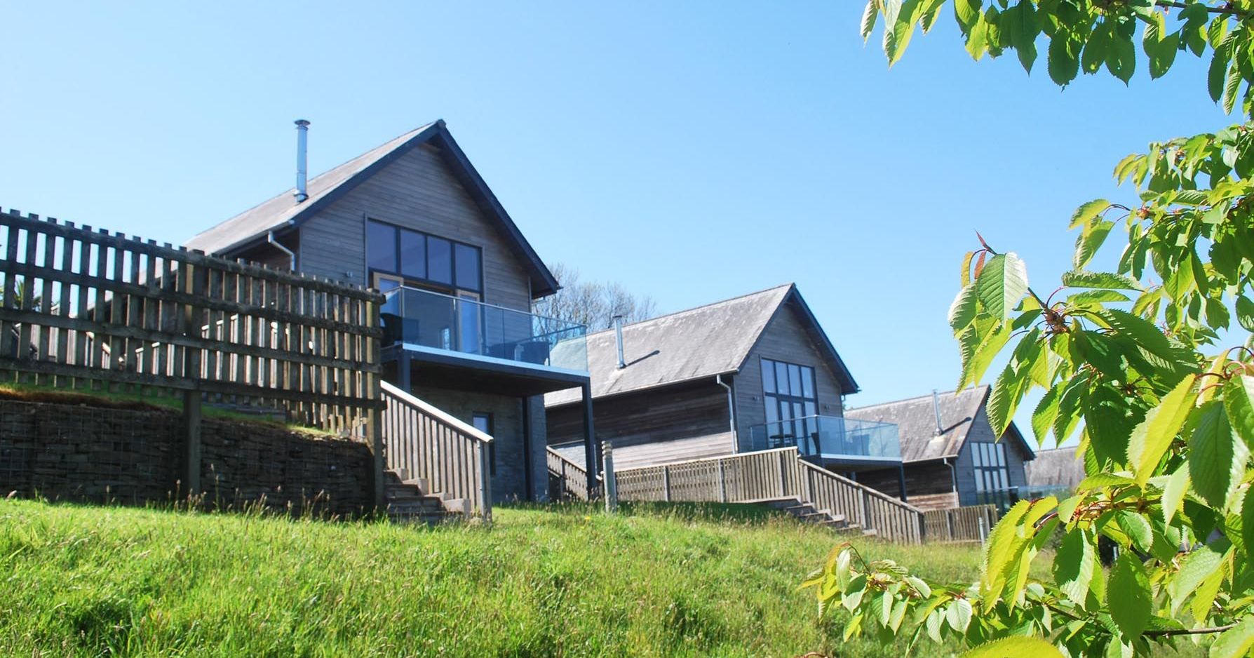 Modern wooden houses with large glass windows on a grassy hillside under a clear blue sky.
