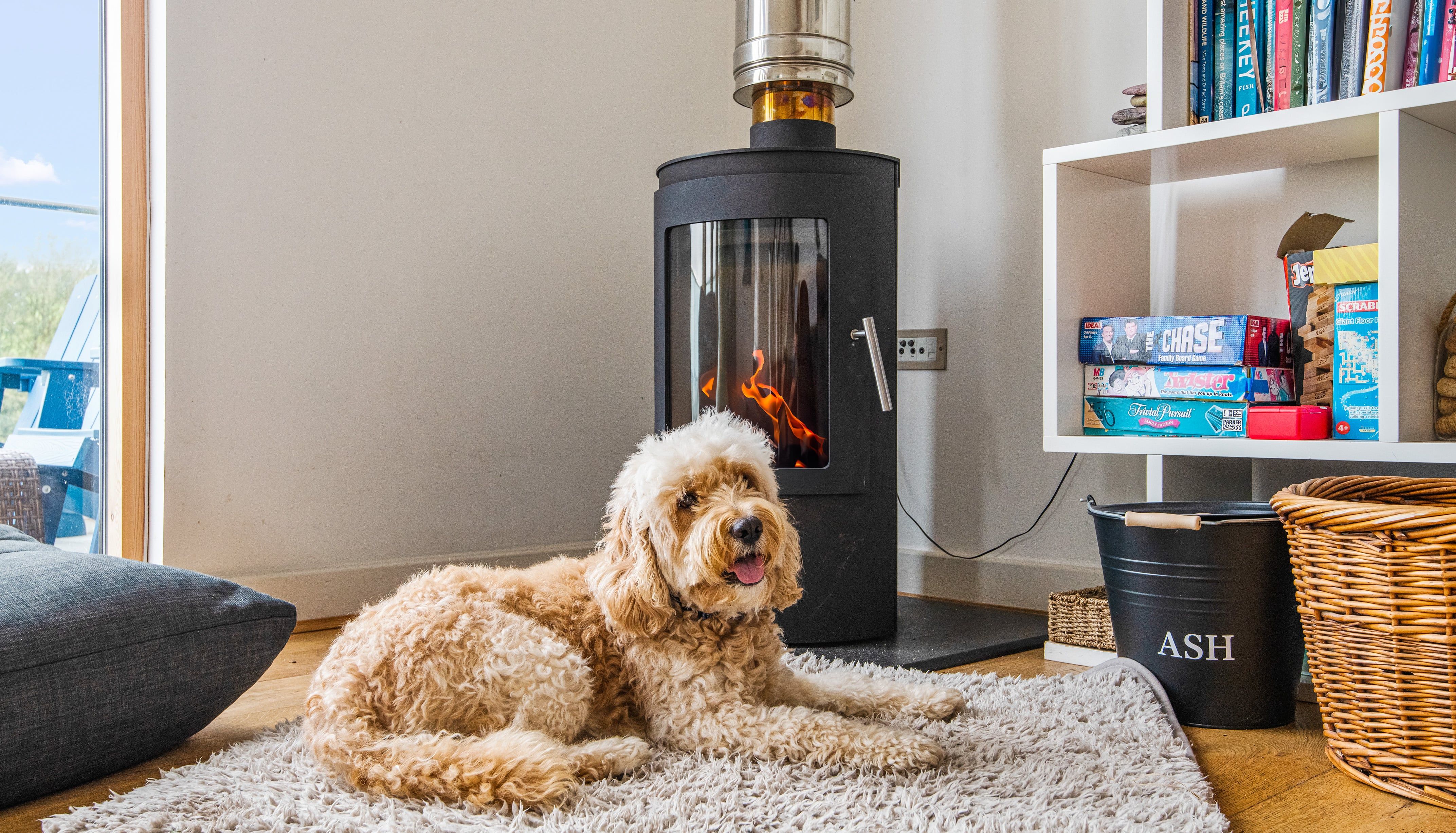 A fluffy dog lying on a shaggy rug in front of a modern wood-burning stove inside a cozy room, with bookshelves and board games in the background.