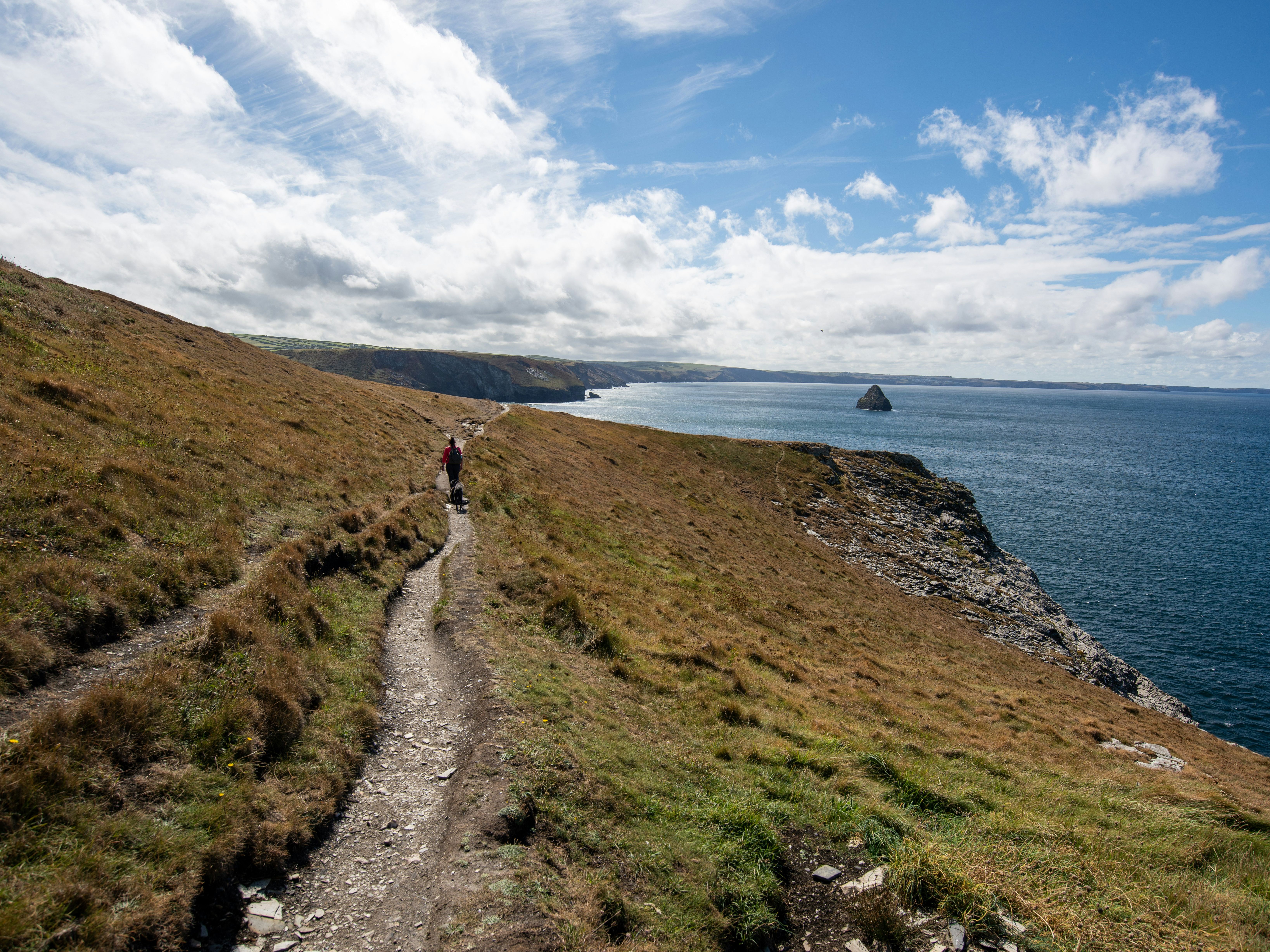 Person walking along a coastal path on a grassy cliff overlooking the ocean.