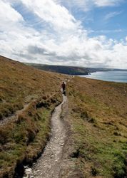 Person walking along a coastal path on a grassy cliff overlooking the ocean.