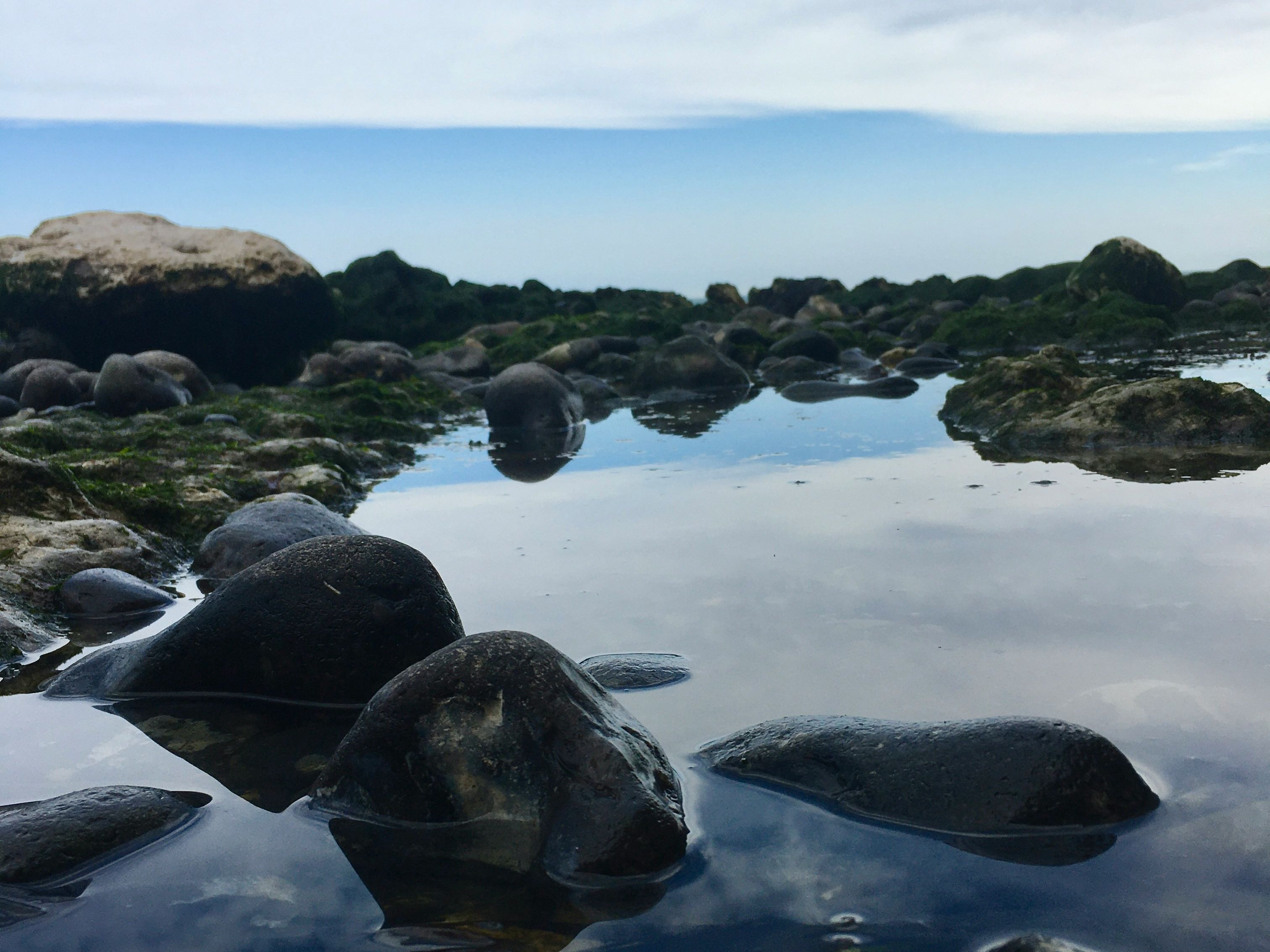 Close-up view of rocks and water in a tide pool under a cloudy sky.