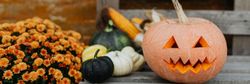 Carved Halloween pumpkin with squash, corn, and flowers on a wooden bench
