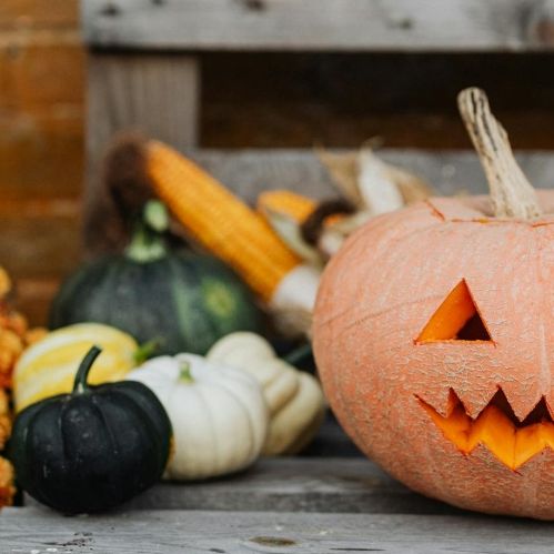 Carved Halloween pumpkin with squash, corn, and flowers on a wooden bench