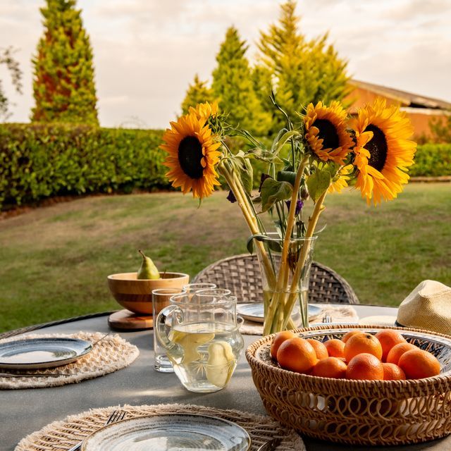Outdoor table set with plates, a pitcher of water, a basket of peaches, and a vase of sunflowers.