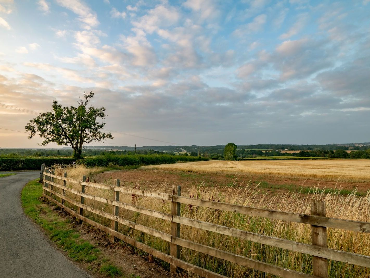 Scenic countryside landscape with a wooden fence, lone tree, and open field under a partly cloudy sky.