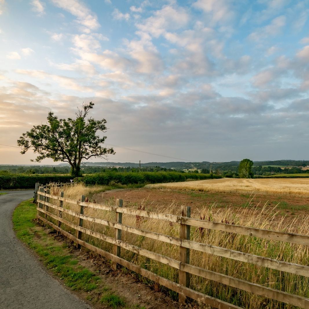 Scenic countryside landscape with a wooden fence, lone tree, and open field under a partly cloudy sky.