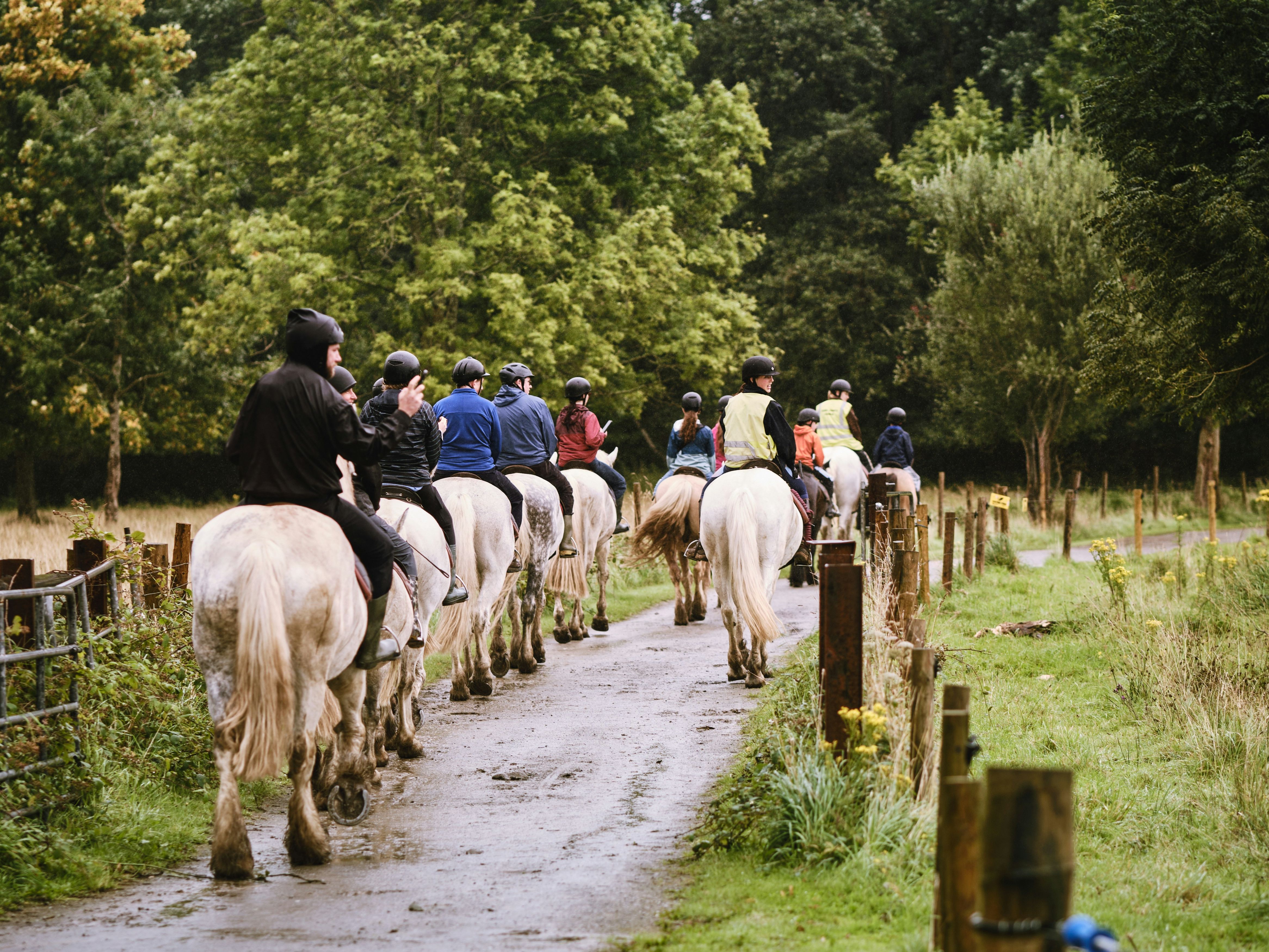 Group of people riding horses along a rural path surrounded by greenery