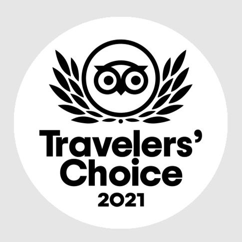Travelers' Choice 2021 badge with owl and laurel design