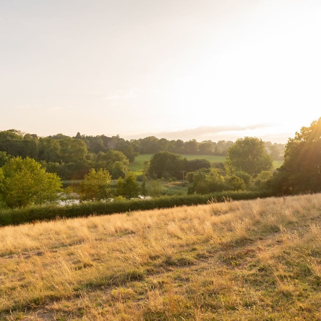 Sunny rural landscape with fields, green trees, and distant hills