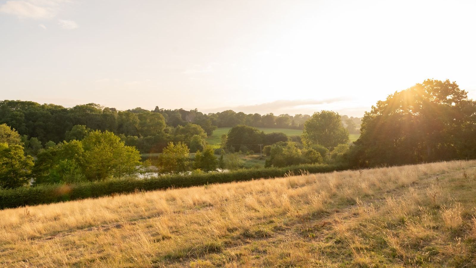 Sunny rural landscape with fields, green trees, and distant hills
