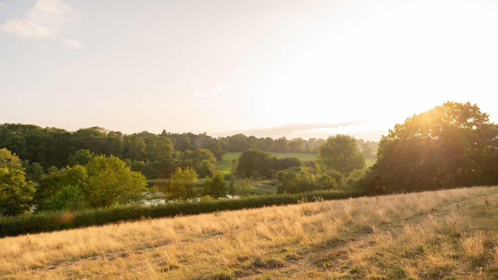 Sunny rural landscape with fields, green trees, and distant hills