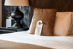 Cushions on bed