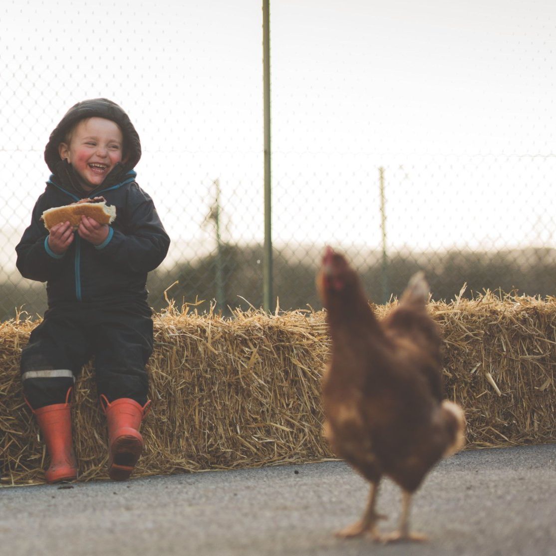 Three children sitting on straw bales eating sandwiches and laughing, with a chicken walking in the foreground