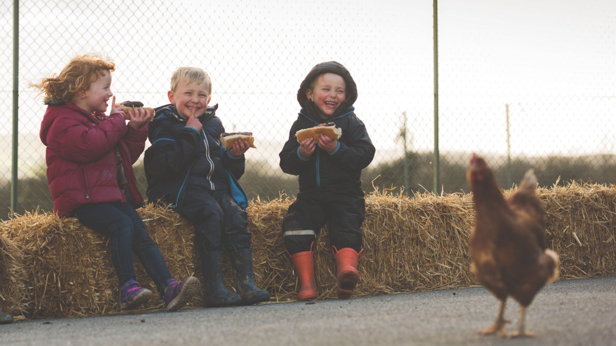 Three young children sitting on hay bales, eating sandwiches, and laughing with a chicken walking nearby.