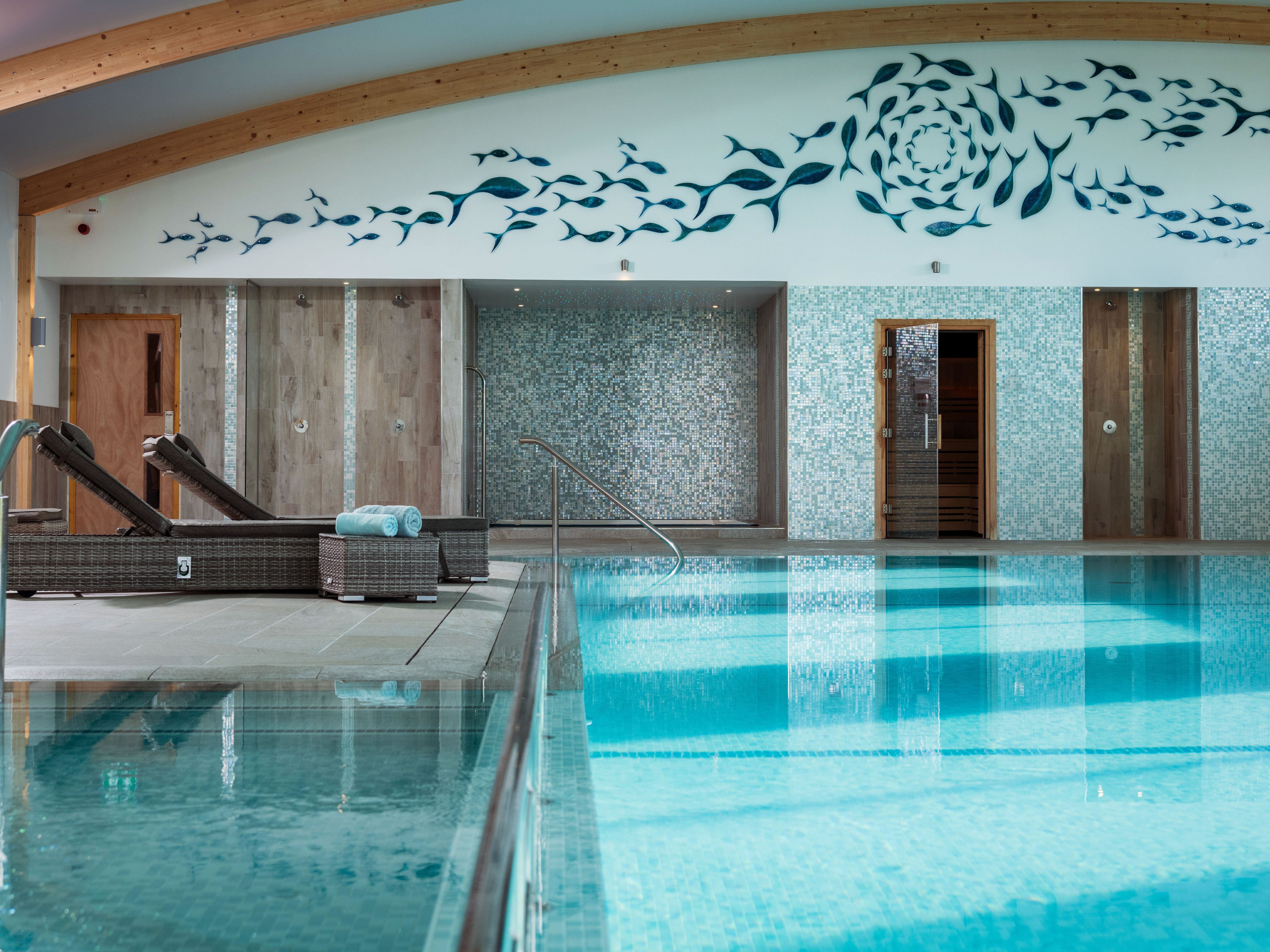 Indoor swimming pool with lounge chairs and wall art featuring fish designs