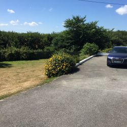 A black car parked on a driveway next to a house with a garden and bushes under a blue sky.