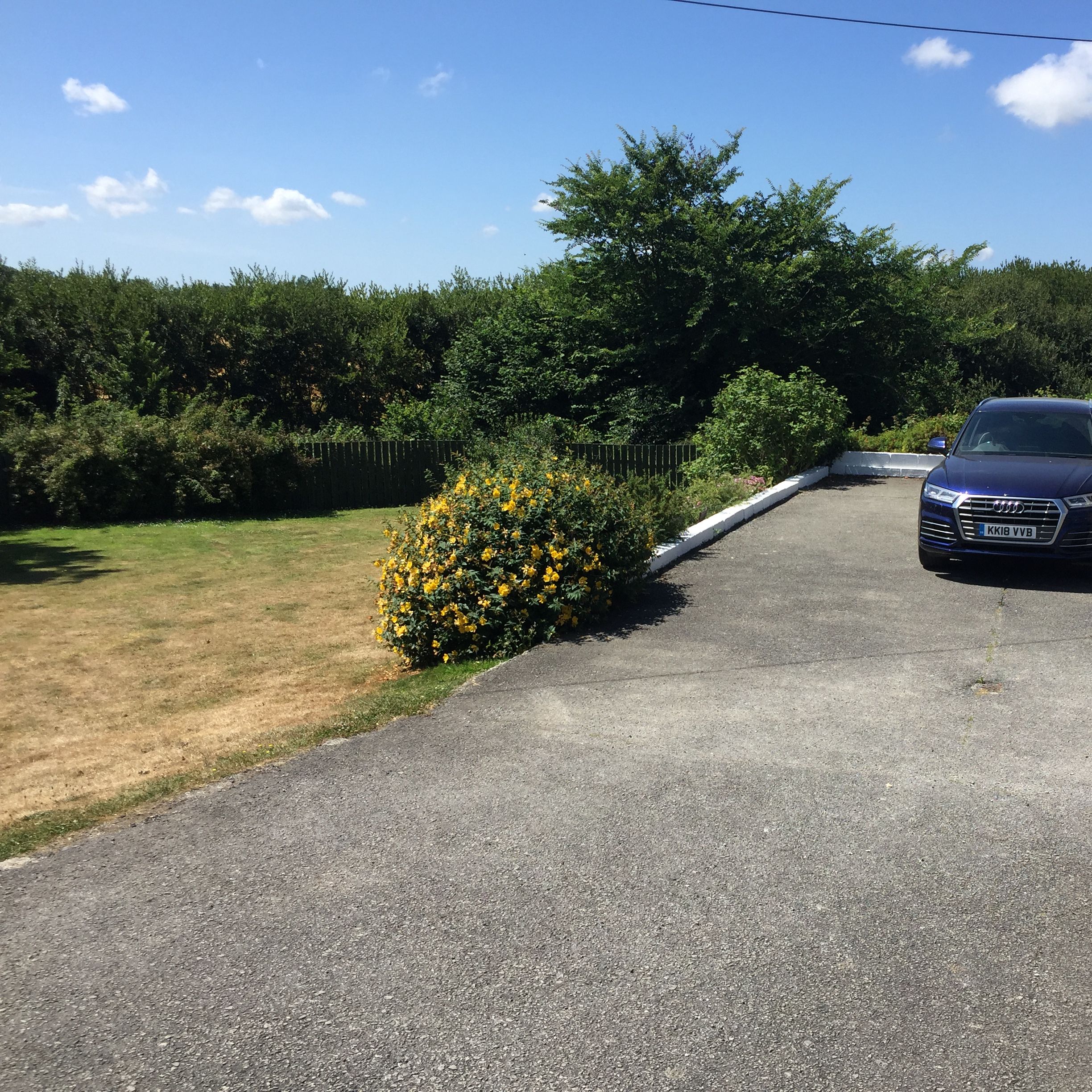A black car parked on a driveway next to a house with a garden and bushes under a blue sky.