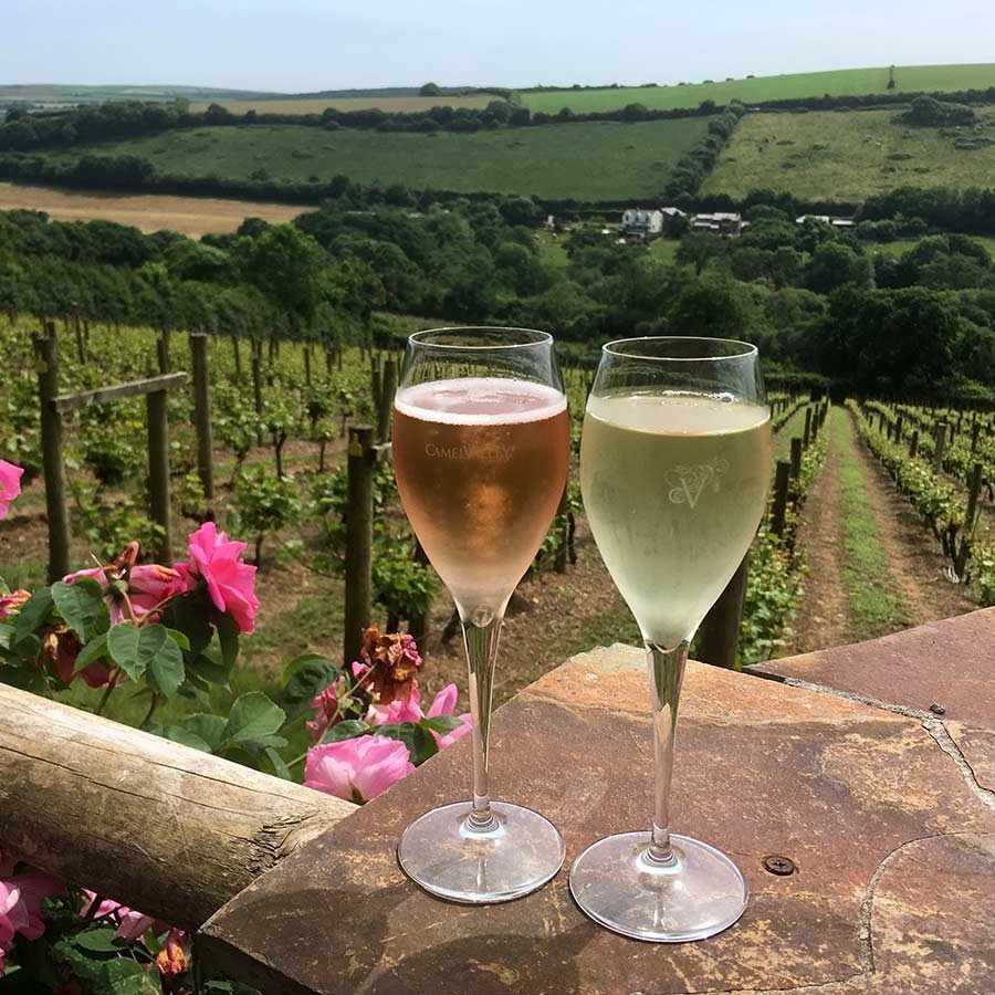 Two glasses of wine overlooking a vineyard with rolling green hills and pink flowers in the foreground.