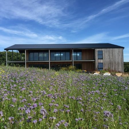 Modern wooden building behind a field of wildflowers under a blue sky