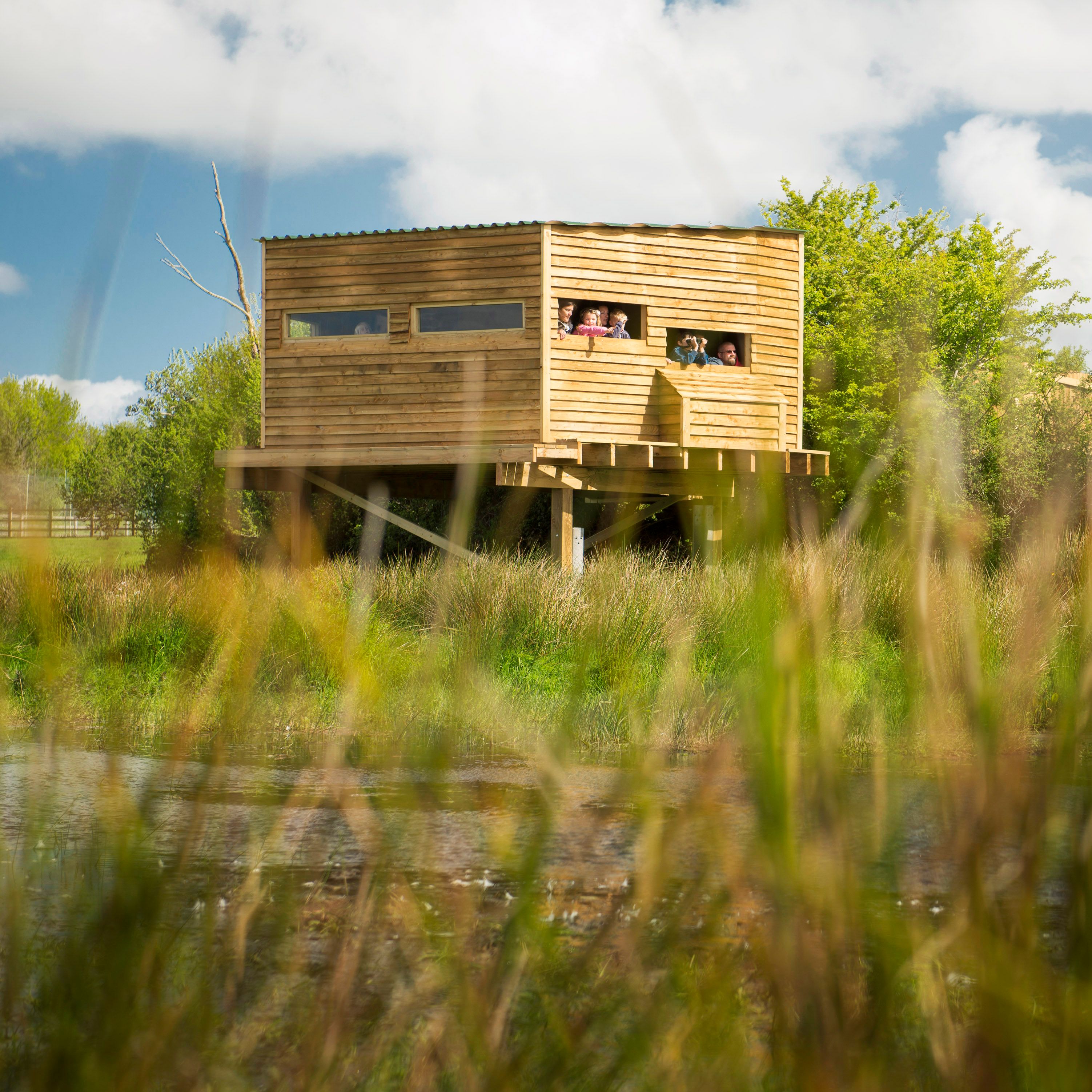 A wooden bird-watching hide elevated on stilts beside a pond, with people looking out through observation windows, surrounded by tall grass, green trees, and a cloudy sky.
