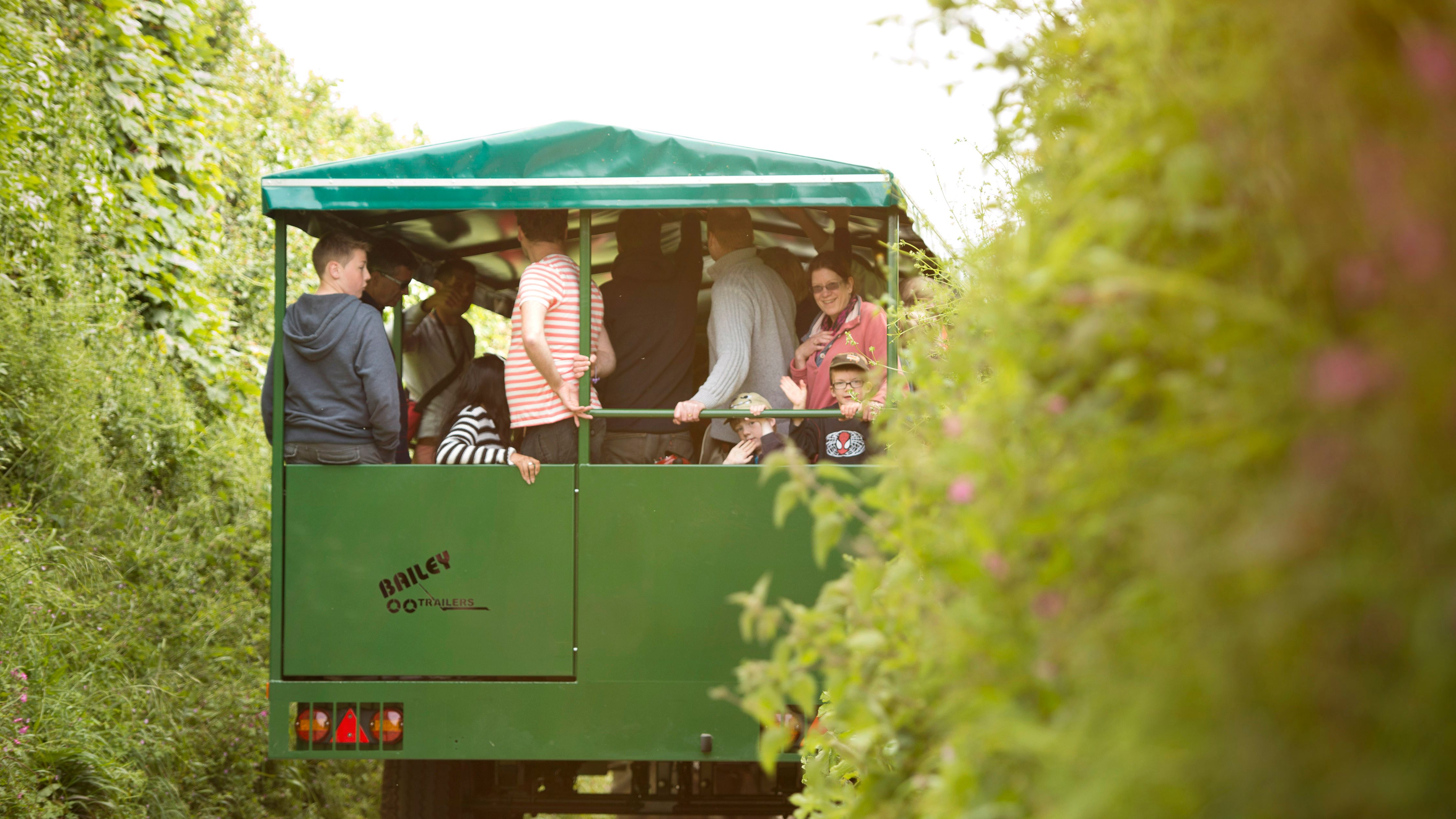 A group of people riding in the back of a green farm trailer with a canopy roof, traveling down a country lane surrounded by green hedges and foliage.