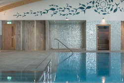Indoor swimming pool with tiled walls, a wooden door, showers, a sauna room, and artistic fish decorations on the upper wall.