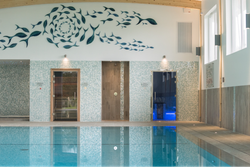 Indoor swimming pool area with mosaic tile walls, two glass doors, and a decorative fish art installation on the wall above. Natural light streams in through large windows on the right.