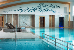 Modern indoor swimming pool with wicker lounge chairs, mosaic-tiled walls, sauna doors, turquoise water, and a decorative fish mural on the wall above.