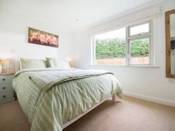 Bright bedroom with green striped bedding, a large window, a bedside table with a bottle of wine and glasses, a wall mirror, and a painting of piglets above the bed.