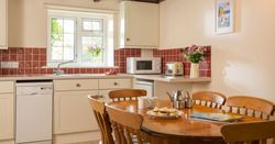 Fern kitchen